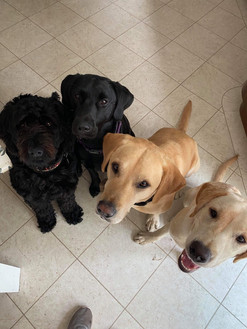 Brothers and sisters