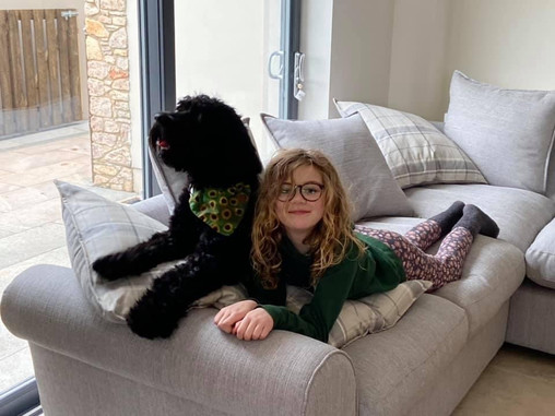 Complete guide to Therapy dogs