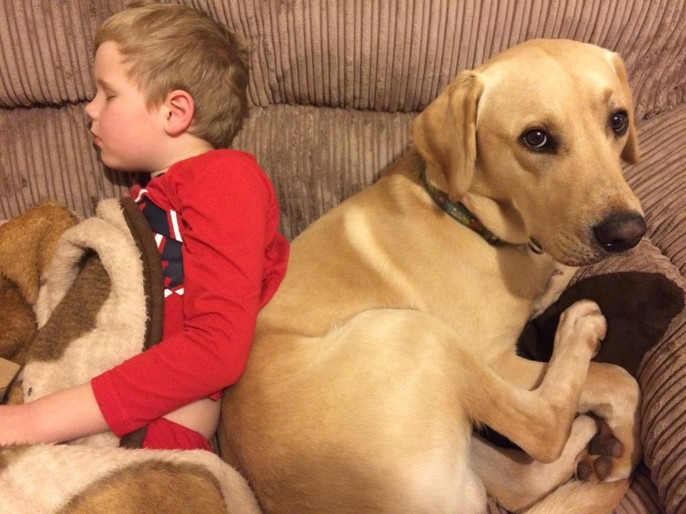 Bale accompanying Harry to help him sleep.