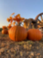 Pumpkin Fest Oct 13