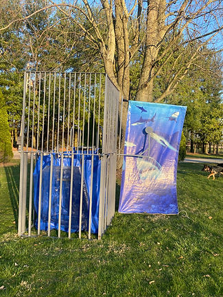 dunk tank.jpg