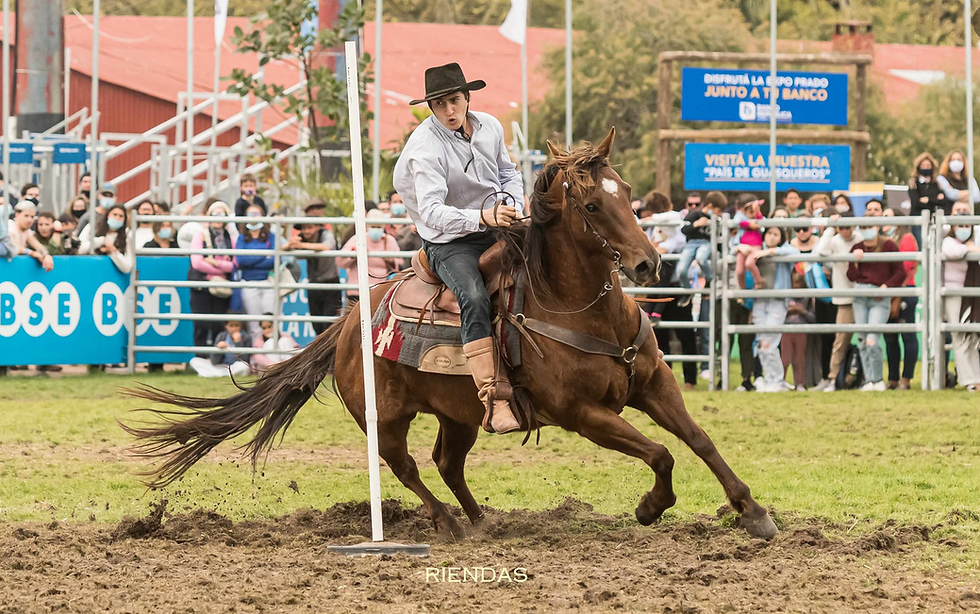 Tornadito prado 2021