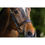 Thumbnail: Ikonic Elite Bridle Anatomic with logo