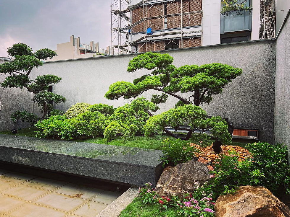 367707548_6533926543391180_4870605862487577100_n