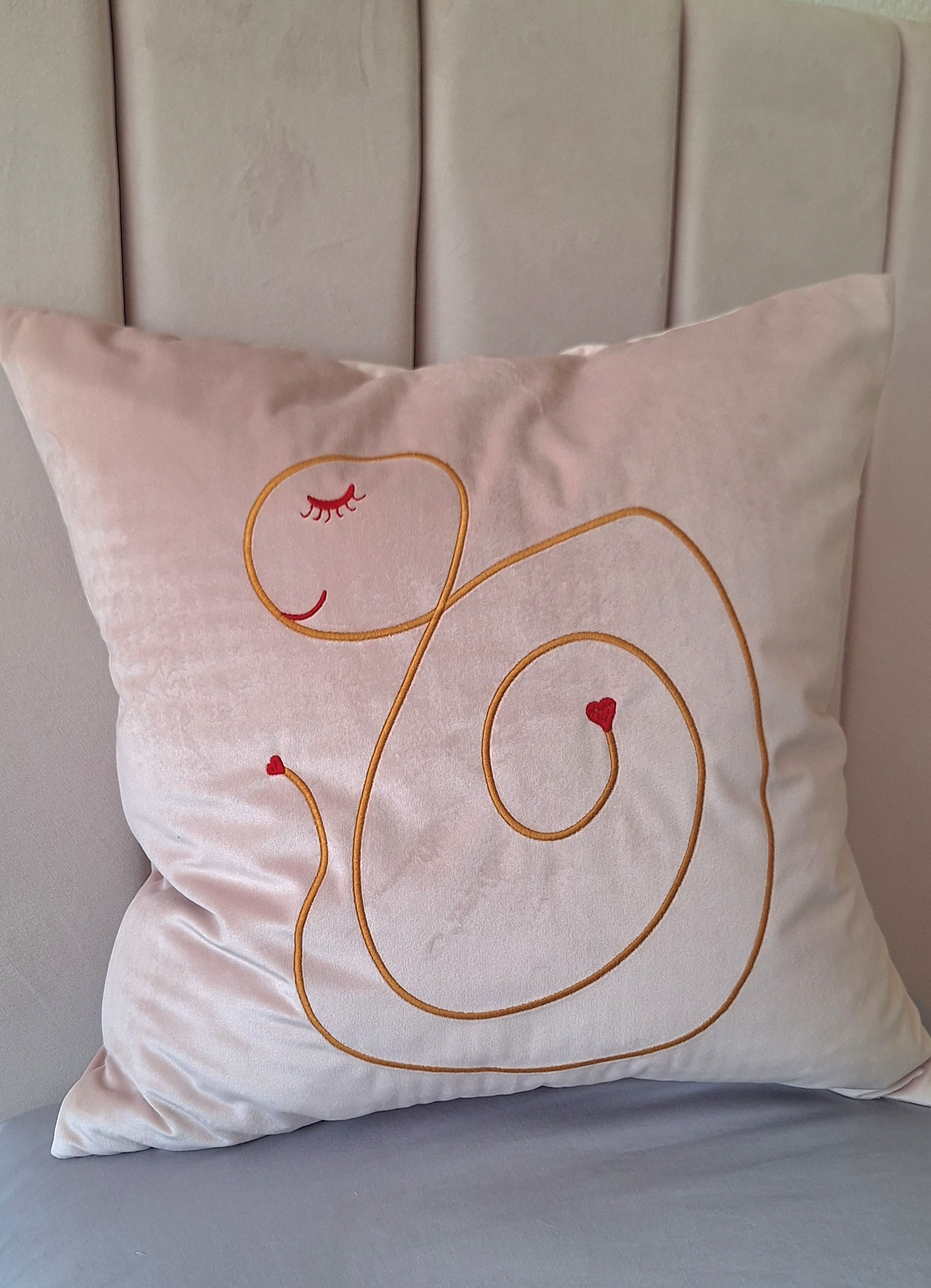 Pink Velvet Cushion Cover