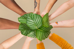 Certify with Confidence