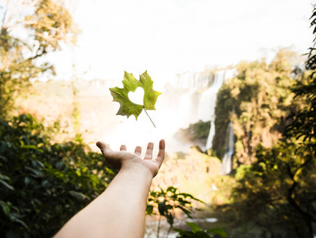 🌱 Beyond Sustainability — Toward Regeneration