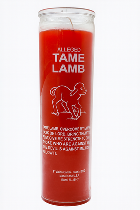 Tame Lamb