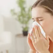 Swine Flu