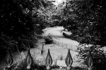 Corporation Park, Blackburn - Flora