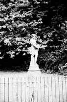 Corporation Park, Blackburn - Flora