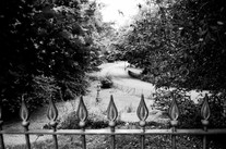 Corporation Park, Blackburn - Flora