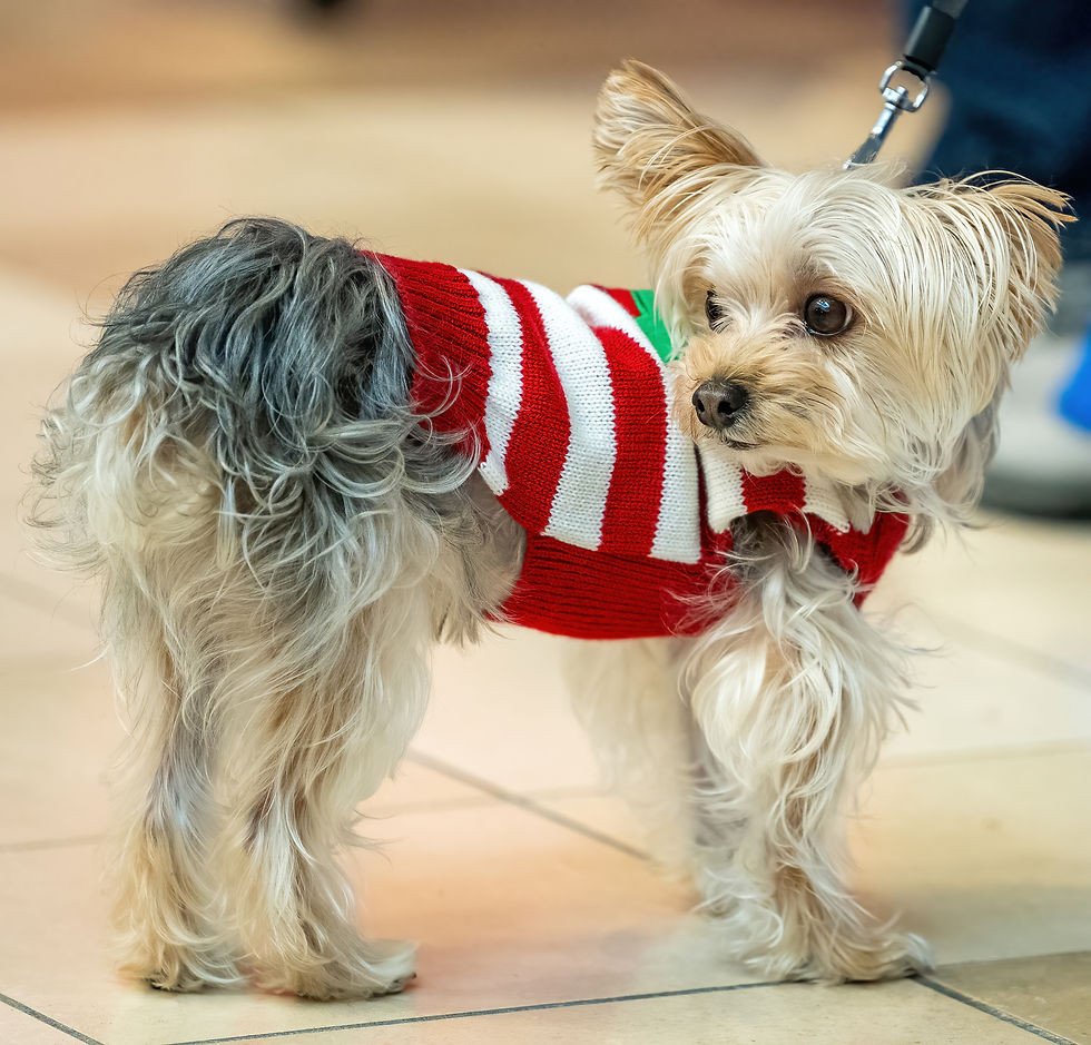 "EVERYONE" LOVES A GREAT EVENT!