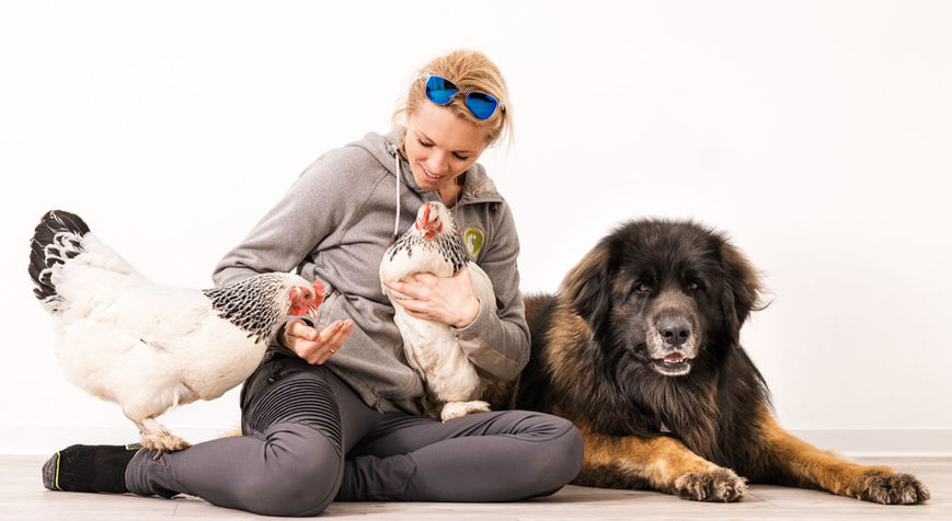 Nadine Kosian mit Hühnern und Leonberger