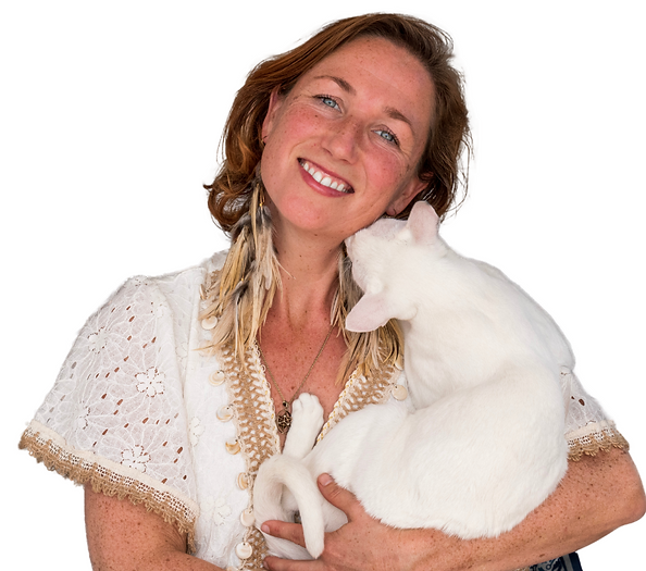 Wit Oranje Wordt Verwacht Chic Gecentreerd Lijsten Stijl Website (1).png