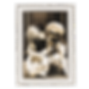 Fotolijst