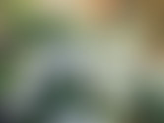 Emerging from the Depths of Winter