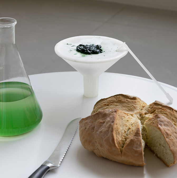 ecoLogicStudio_BioBombola_©NAARO_03.jpg
