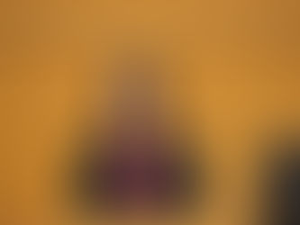 ２月議会を終えて