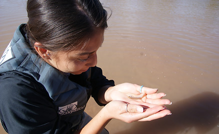 silvery minnow bosque school river monitoring.JPG