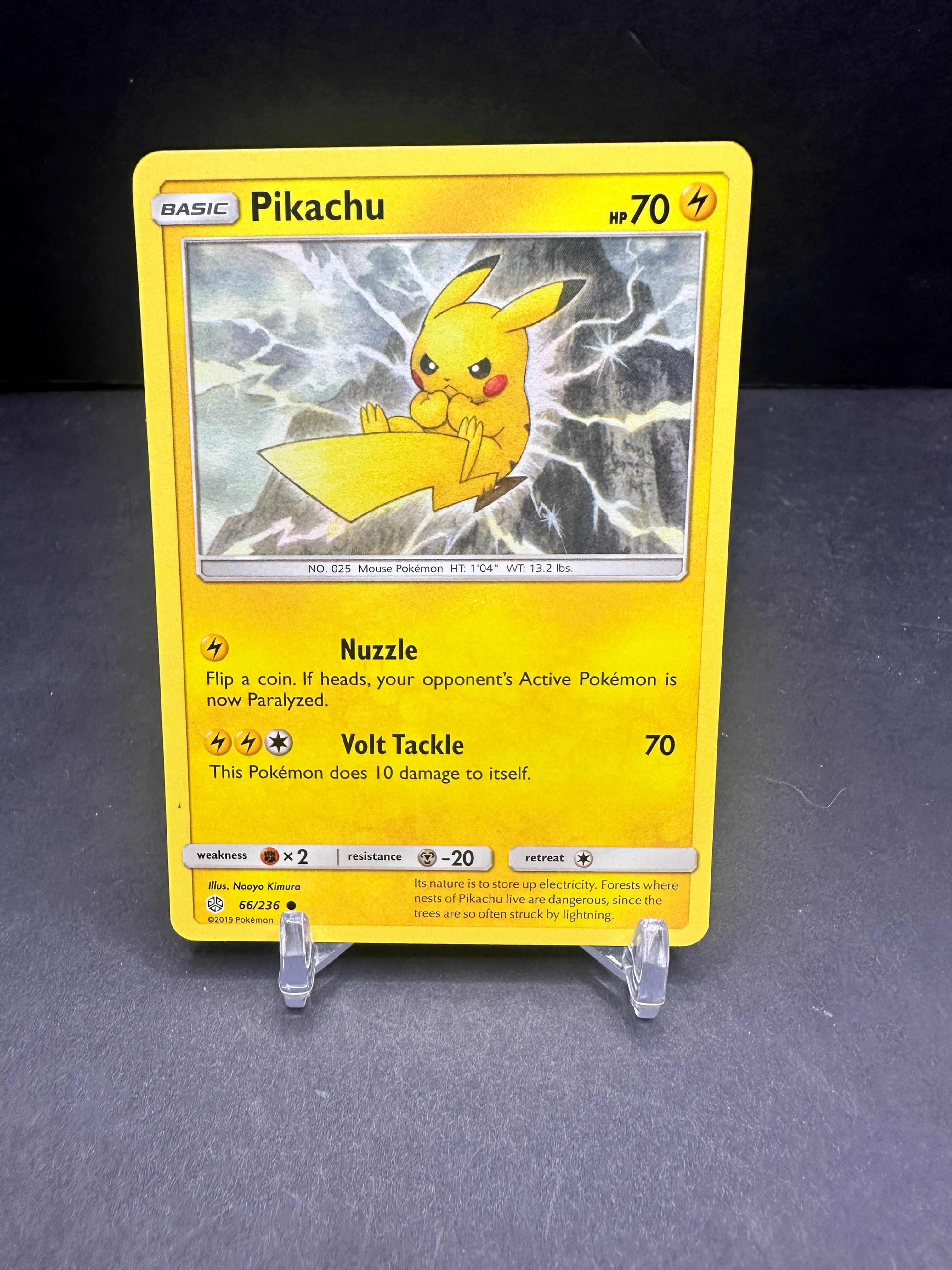 Pikachu (66/236)