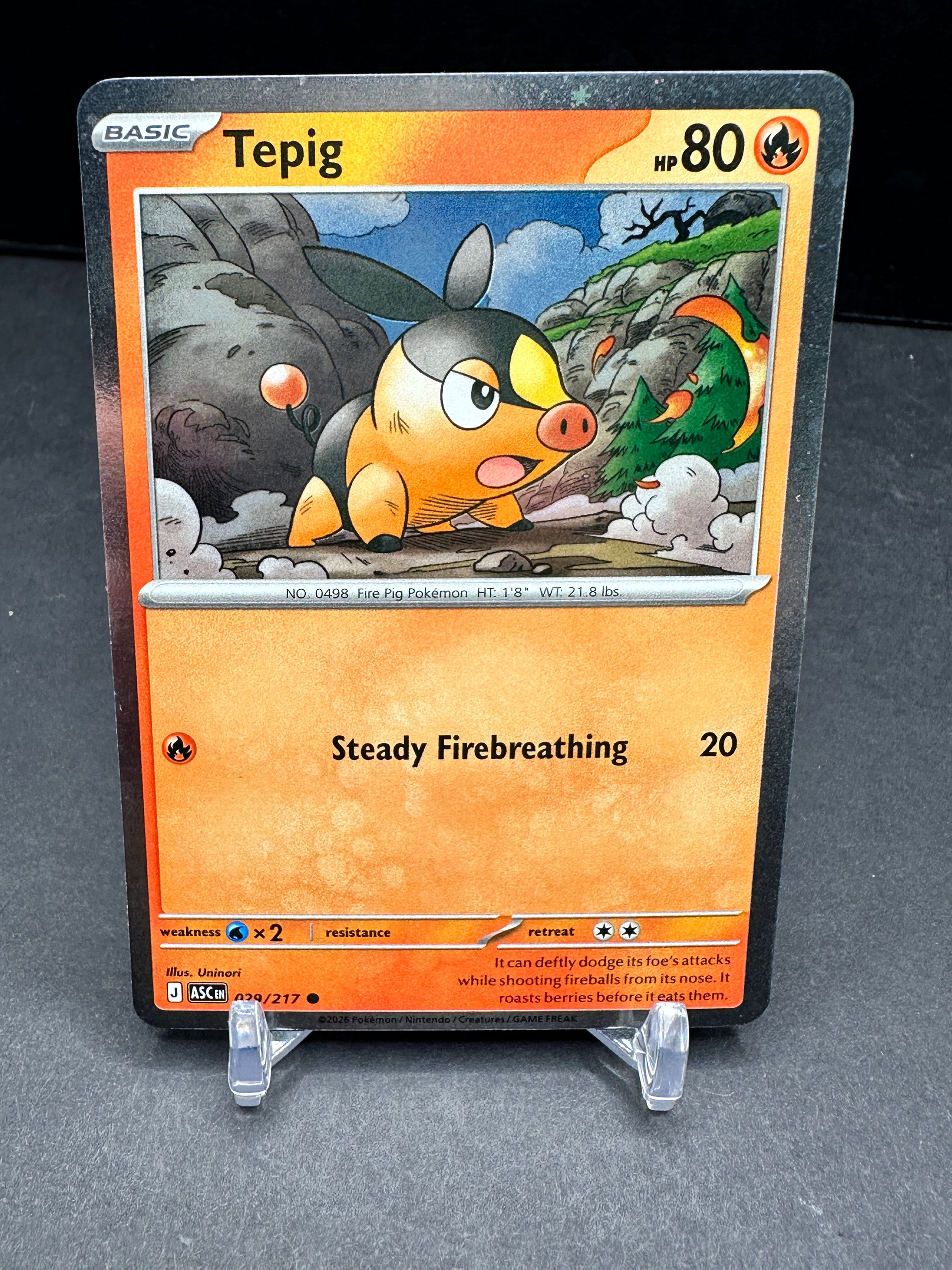 Tepig (029/217) (Cosmos Holo)