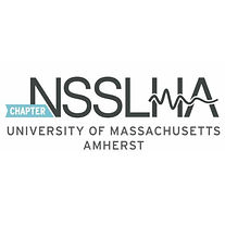 nsslha.jpg