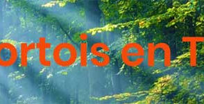 Pour une TRANSITION au plus près de chez nous