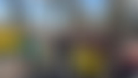 Manifestation Réussie pour la Défense des Forêts d’Île-de-France