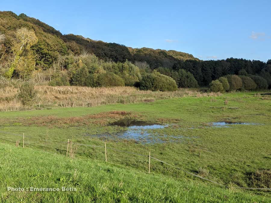 Le bassin du désert