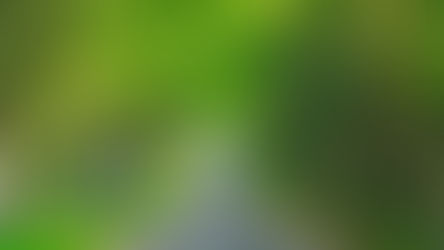 L’ALLÉE DU CHÂTEAU