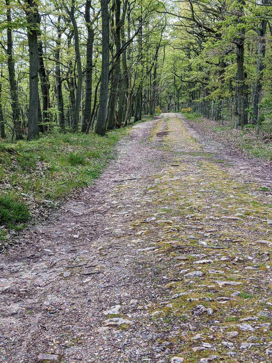 Partie haute du chemin des Bordes (juillet 2024)