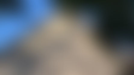 JOUR 1 : Le défi de la densification : SRU* vs ZAN*