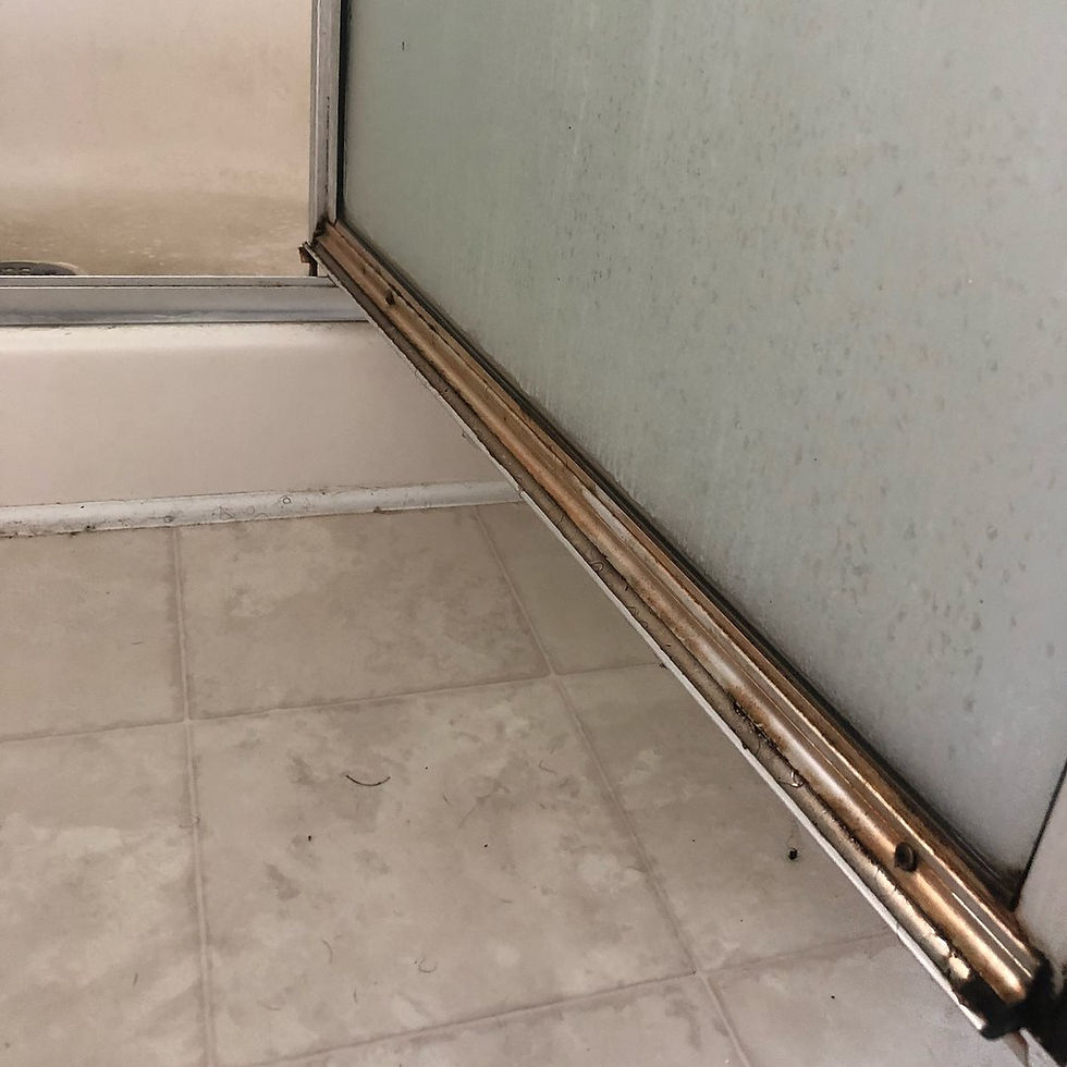 showerdoorbefore