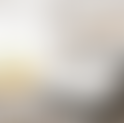 Concept to Reality_Laburnum Grove_CGI