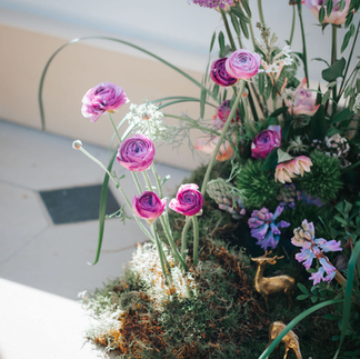 The Orangery shoot at Kelmarsh Hall and Gardens