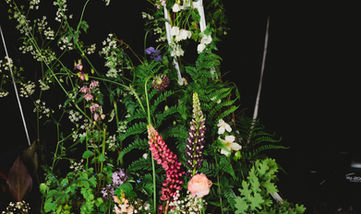 Celestial wedding decor, moody wedding theme, starry night wedding, cosmic wedding decor, celestial wedding styling, dark celestial wedding, moonlit wedding theme, celestial bridal style, ethereal wedding, galaxy wedding theme, mystical wedding decor, celestial bridal gown, dark romantic wedding, celestial wedding flowers, cosmic wedding centerpieces, moon and stars wedding, celestial wedding color scheme, dark celestial aesthetics, mystical floral arrangements, celestial event styling, zodiac wedding theme, starlit wedding, celestial wedding reception, galaxy-inspired wedding, midnight wedding decor, celestial wedding accessories, moody wedding colors, starry sky wedding, modern celestial wedding, celestial-themed wedding venue, celestial wedding cake, astrology wedding, lunar wedding theme, cosmic wedding fashion, dark celestial reception, celestial bridal accessories, moon phases wedding, moody wedding lighting, celestial hair and makeup, cosmic bridal bouquet, ethereal wedding photographer, alternative wedding decor, nontraditional wedding stylist, untraditional wedding stylist, celestial wedding designer, alternative wedding decor stylist, untraditional wedding designer, gothic wedding consultant, unique wedding stylist, opulent wedding designer, untraditional wedding stylists