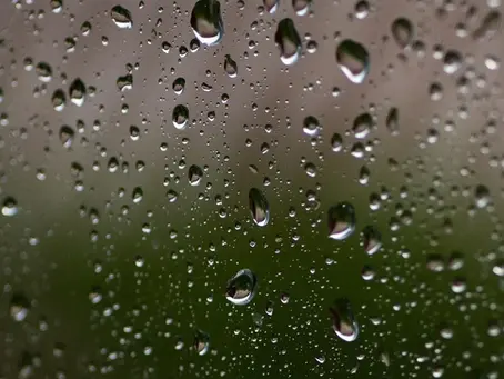 Rainy Day Activities Near The Woodland Retreat: How to Make the Most of a Cozy Day