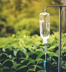 Enter to win a free IV.png