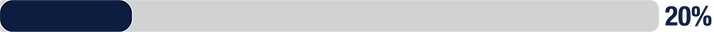 Progress Bars_20%.png
