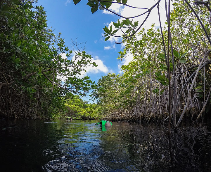 GOPR5391.jpg