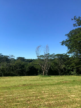 Arcovida (4).HEIC