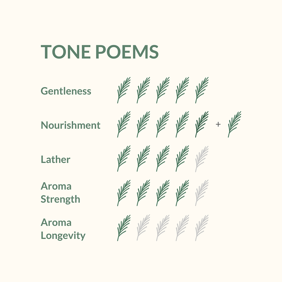 Thumbnail: PINE & CO Body Wash  |  Tone Poems  |  Extra Gentle