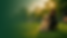 ChatGPT Image 16. Juni 2026, 02_16_04.png