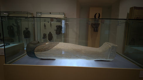 MUSEO PEDRO CORONEL 3.DNG