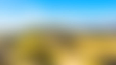 Monte Albán: La Montaña Sagrada de los Zapotecos