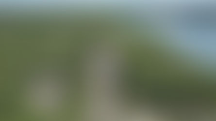 Cobá: Historia entre la Selva y los Cenotes