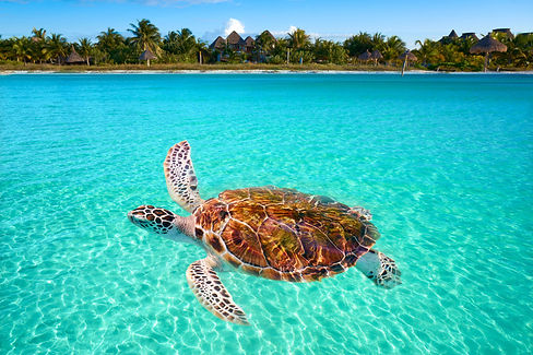 QUINTANA ROO.jpg