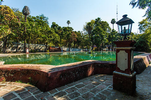 JARDIN BORDA.jpg
