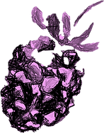 quitar fondo 1 (1).png